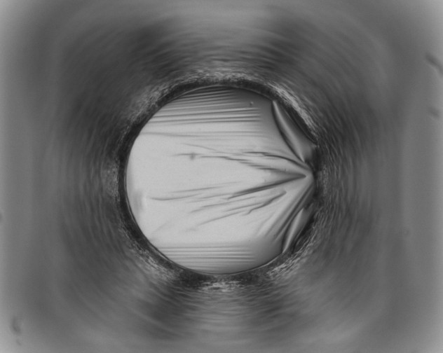 X0000097970447200804141057