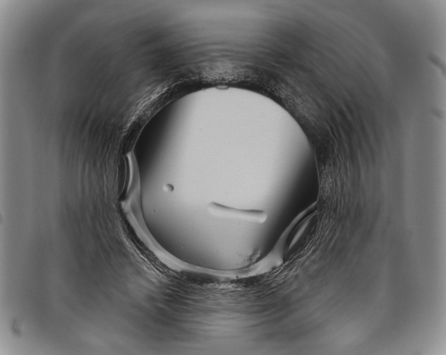 X0000097970448200804141057