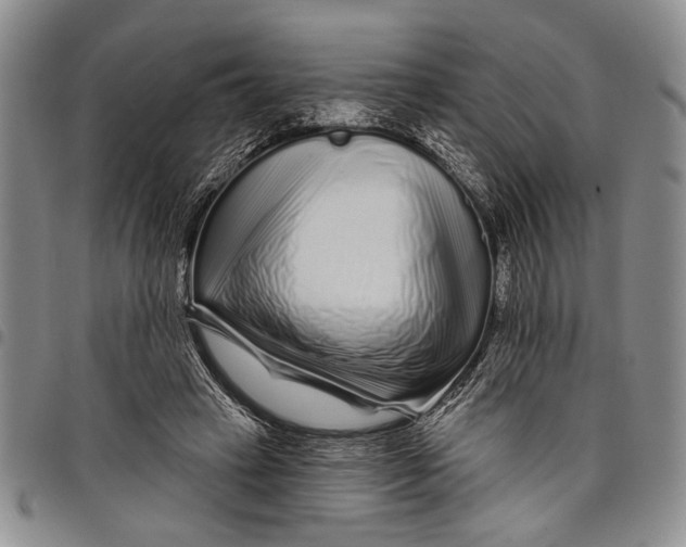 X0000097970449200804141057