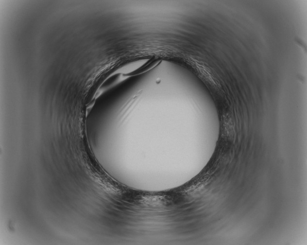 X0000097970450200804141057
