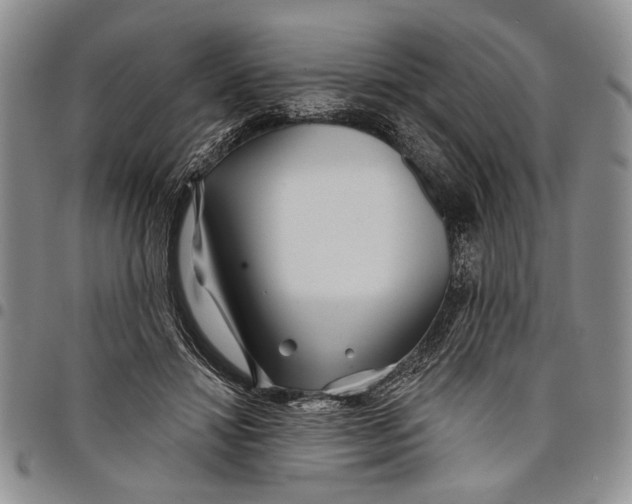 X0000097970452200804141057
