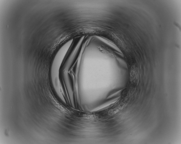 X0000097970454200804141057