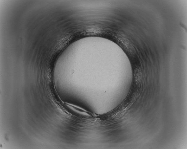 X0000097970455200804141057
