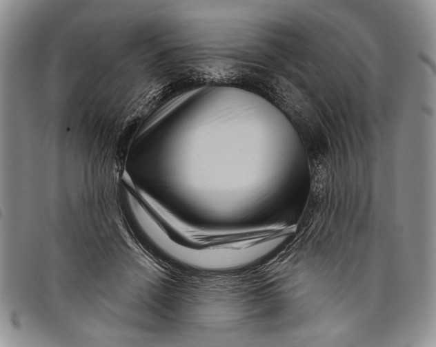 X0000097970456200804141057