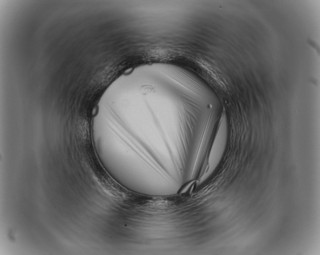 X0000097970459200804141057