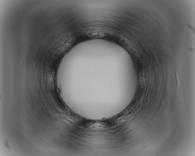 X0000097970460200804141057