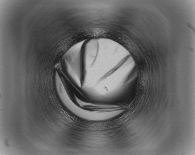 X0000097970461200804141057