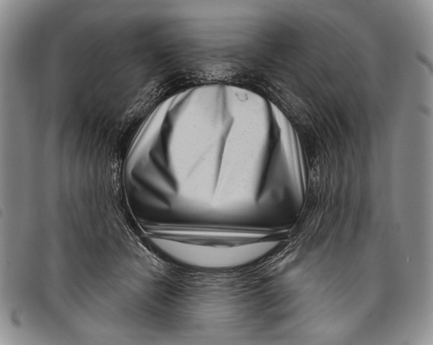 X0000097970462200804141057