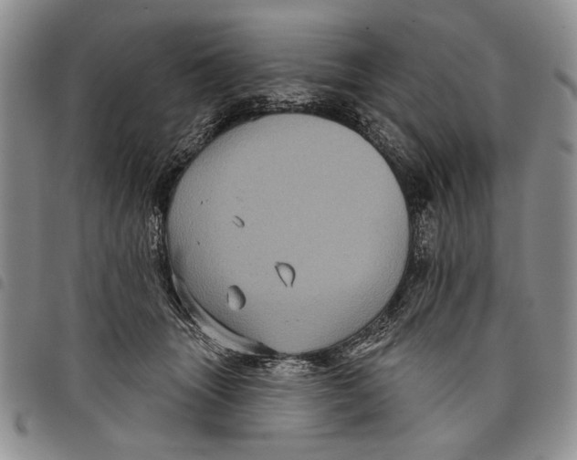 X0000097970463200804141057