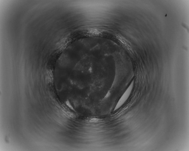 X0000097970467200804141057