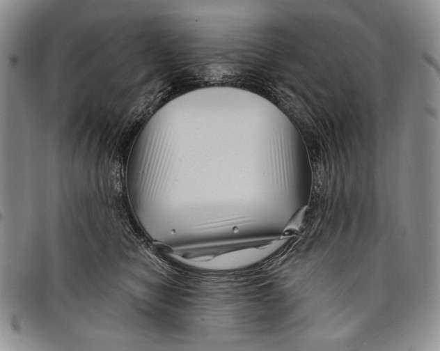 X0000097970470200804141057