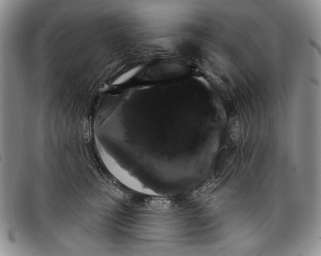 X0000097970471200804141057