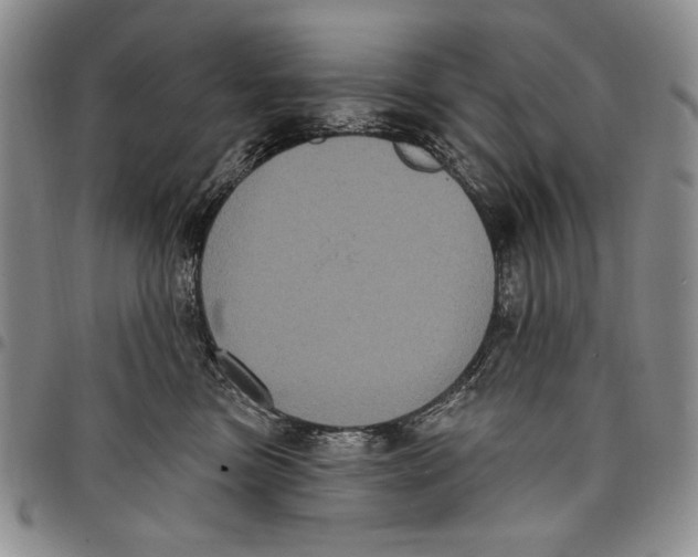 X0000097970473200804141057