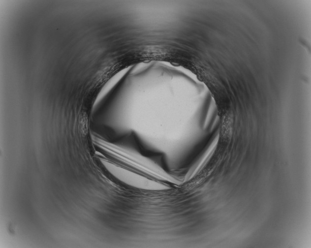 X0000097970474200804141057