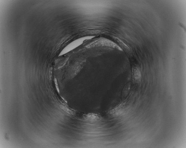 X0000097970475200804141057
