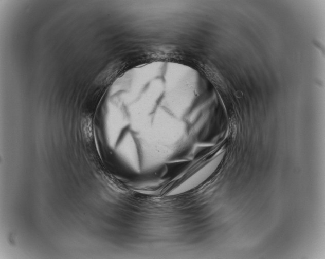 X0000097970479200804141057