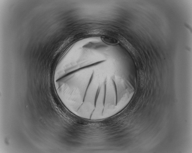 X0000097970482200804141056