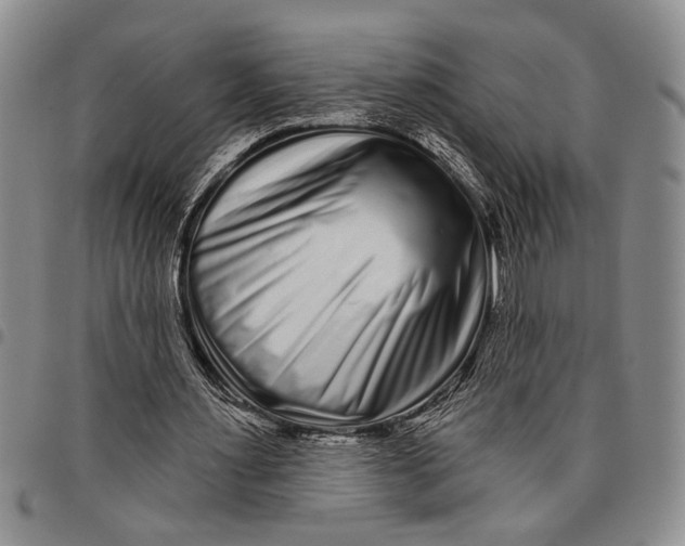 X0000097970483200804141056