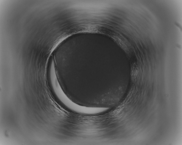 X0000097970484200804141056