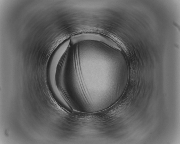 X0000097970485200804141056