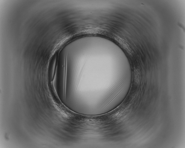 X0000097970486200804141056
