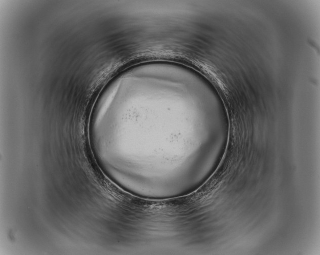 X0000097970487200804141056