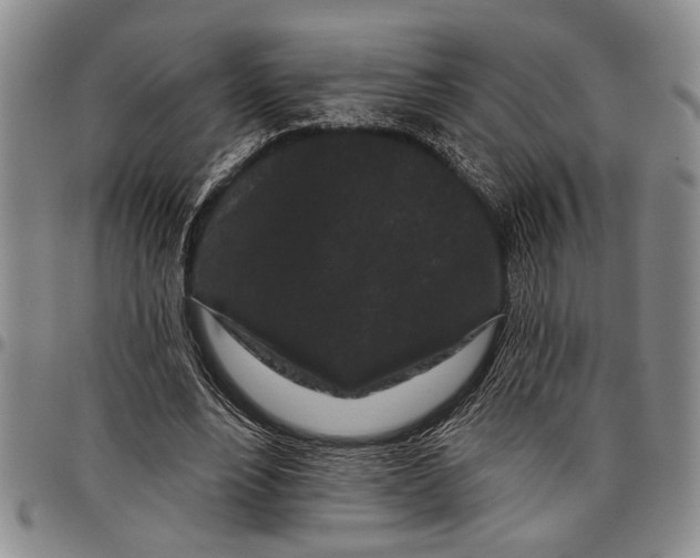 X0000097970488200804141056
