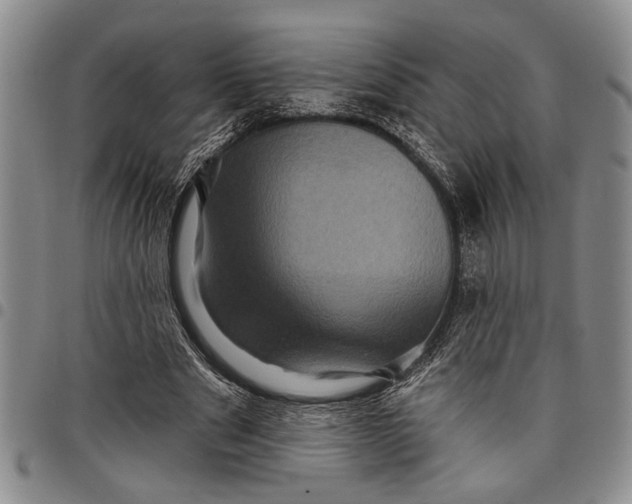 X0000097970489200804141056