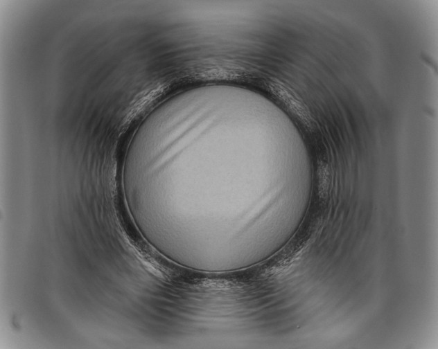 X0000097970490200804141056