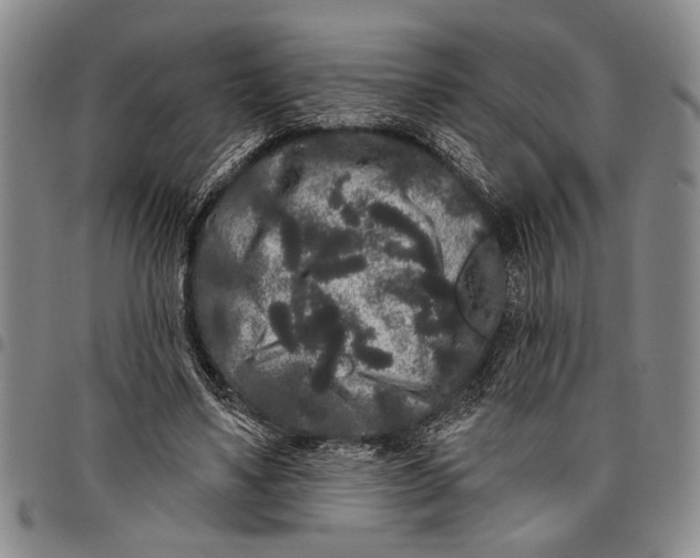 X0000097970491200804141056