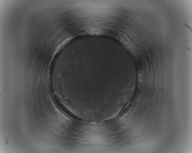X0000097970492200804141056