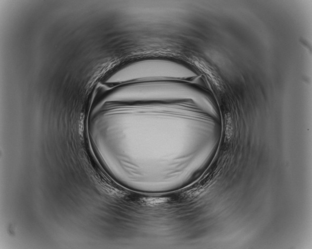 X0000097970495200804141056