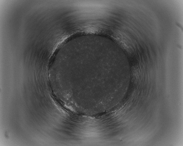 X0000097970496200804141056