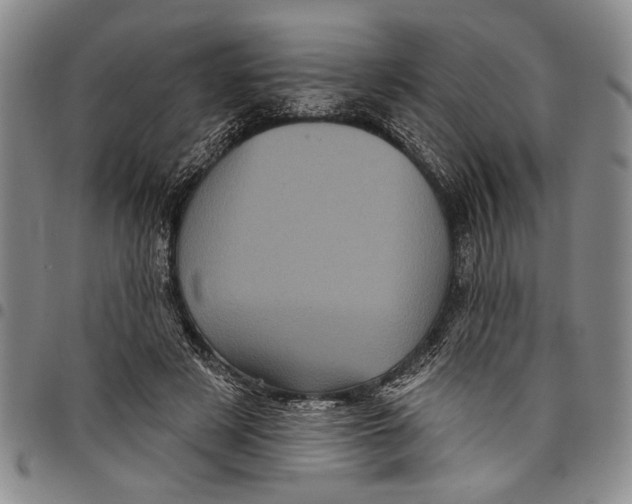 X0000097970497200804141056