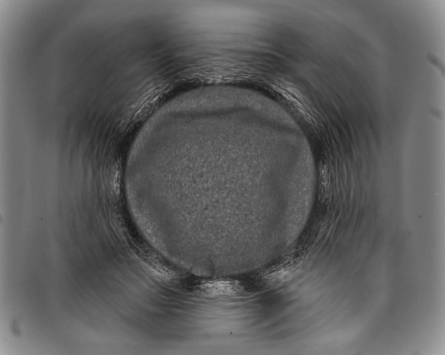 X0000097970499200804141056