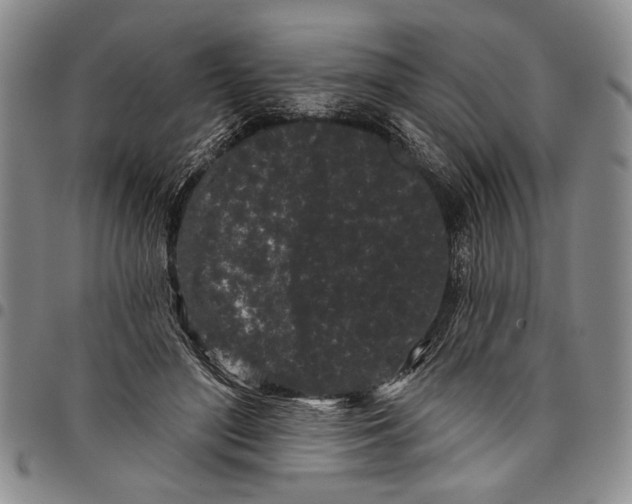 X0000097970500200804141056