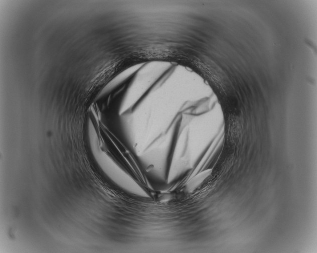 X0000097970501200804141056