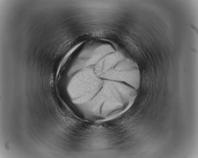 X0000097970502200804141056