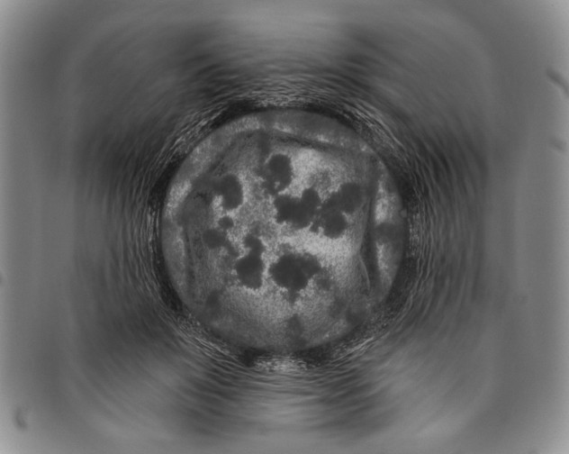 X0000097970503200804141056