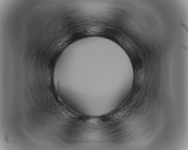 X0000097970505200804141056