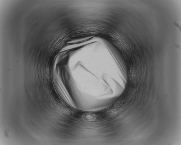 X0000097970506200804141056