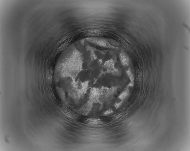 X0000097970507200804141056