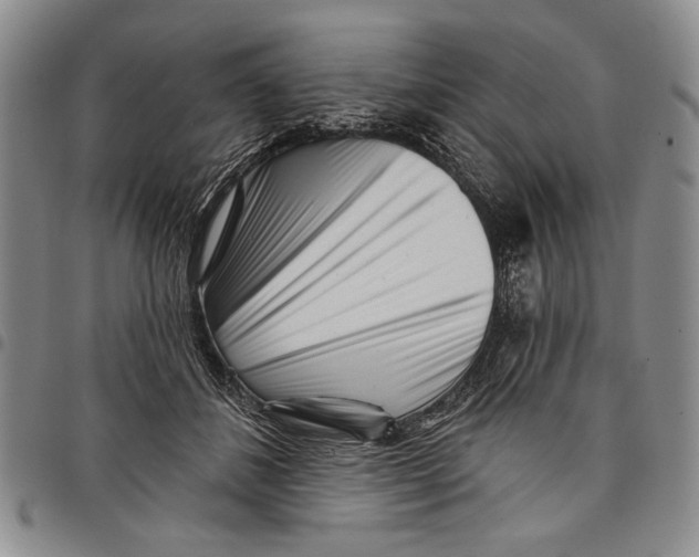 X0000097970508200804141056