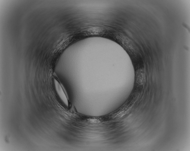 X0000097970509200804141056