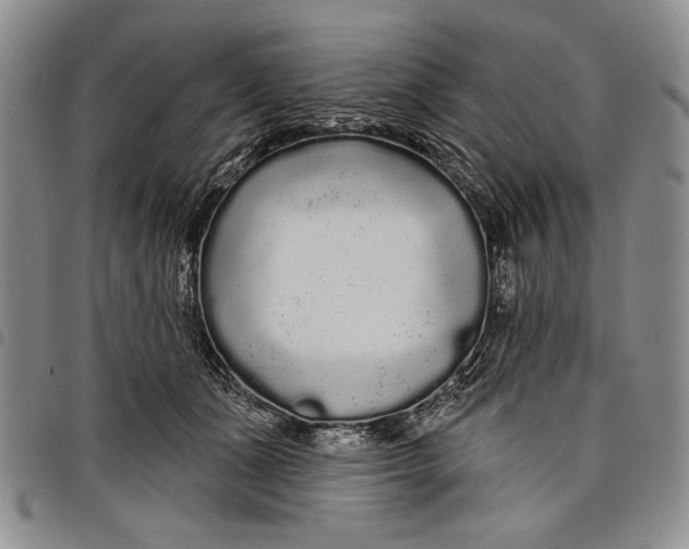 X0000097970511200804141056