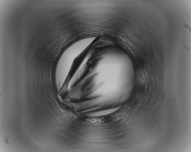 X0000097970512200804141056