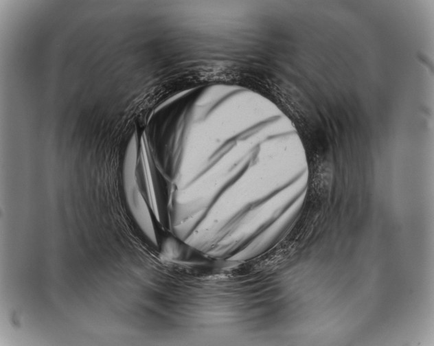 X0000097970513200804141056