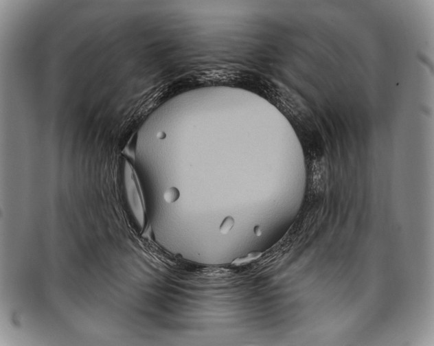 X0000097970514200804141056