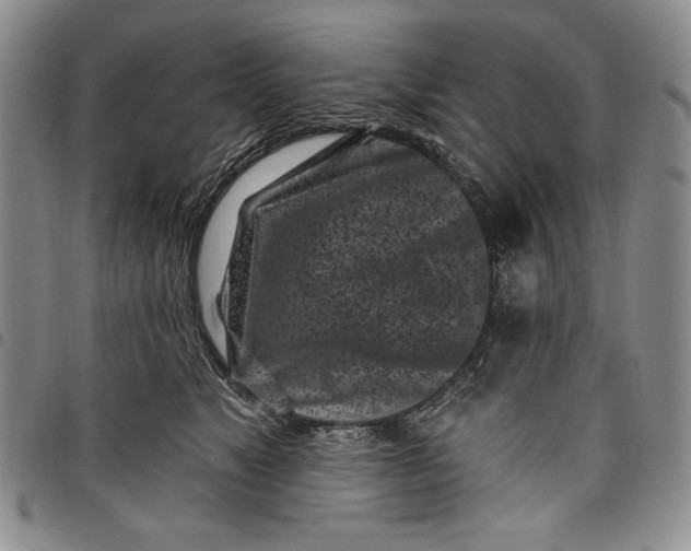 X0000097970517200804141056