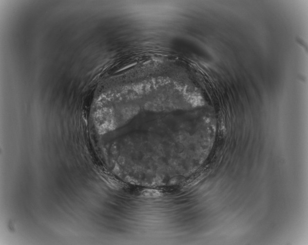 X0000097970519200804141056